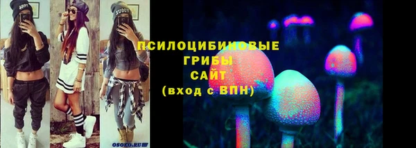 эйфоретик Алексин