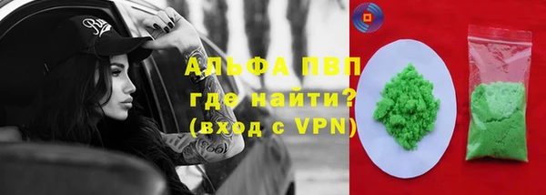 хмурый Абаза