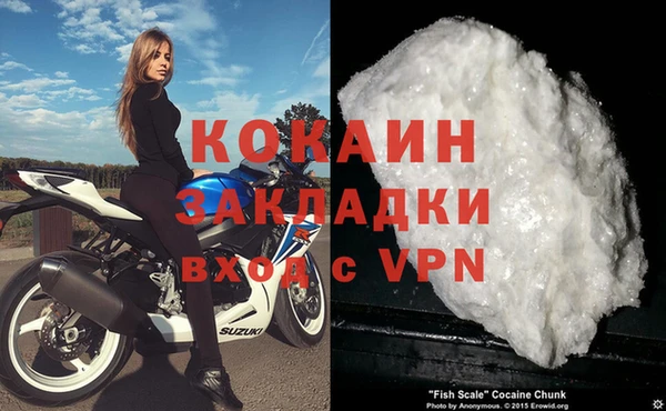 хмурый Абаза