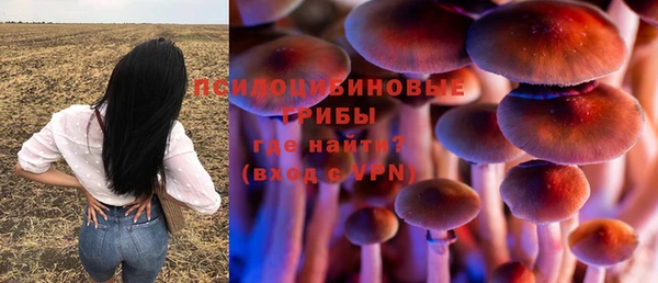 хмурый Абаза