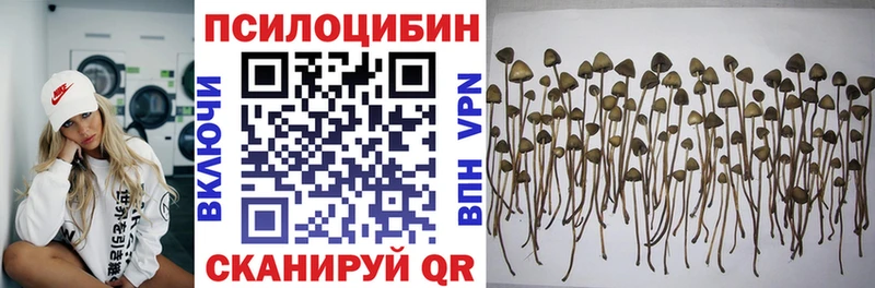 Псилоцибиновые грибы Psilocybine cubensis  мега ссылки  Невельск 